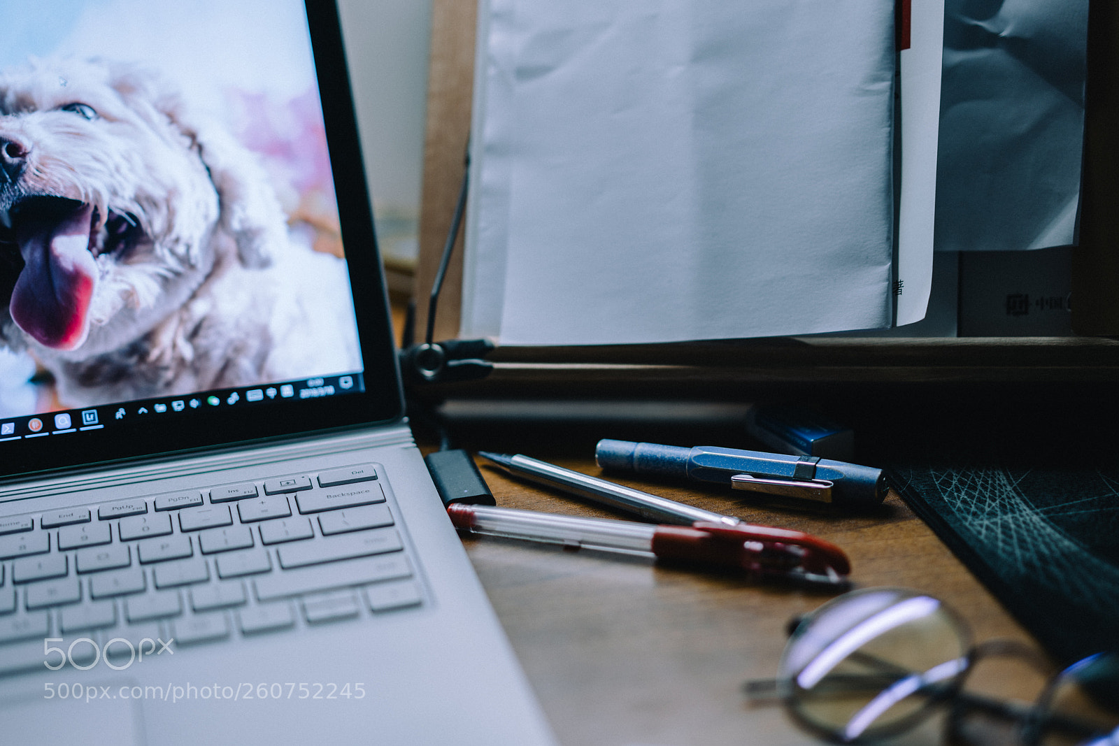 Sony a7R II sample photo. Untitled photography