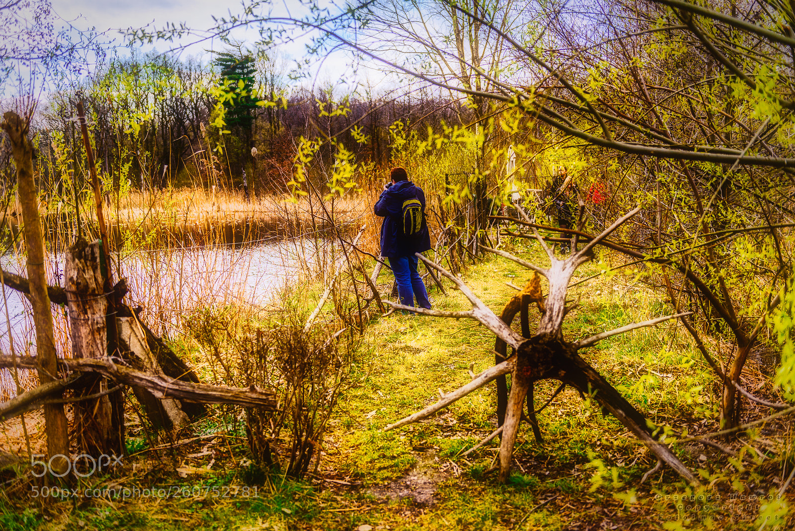 Nikon D800 sample photo. Nad miechowickim stawem bytom. photography