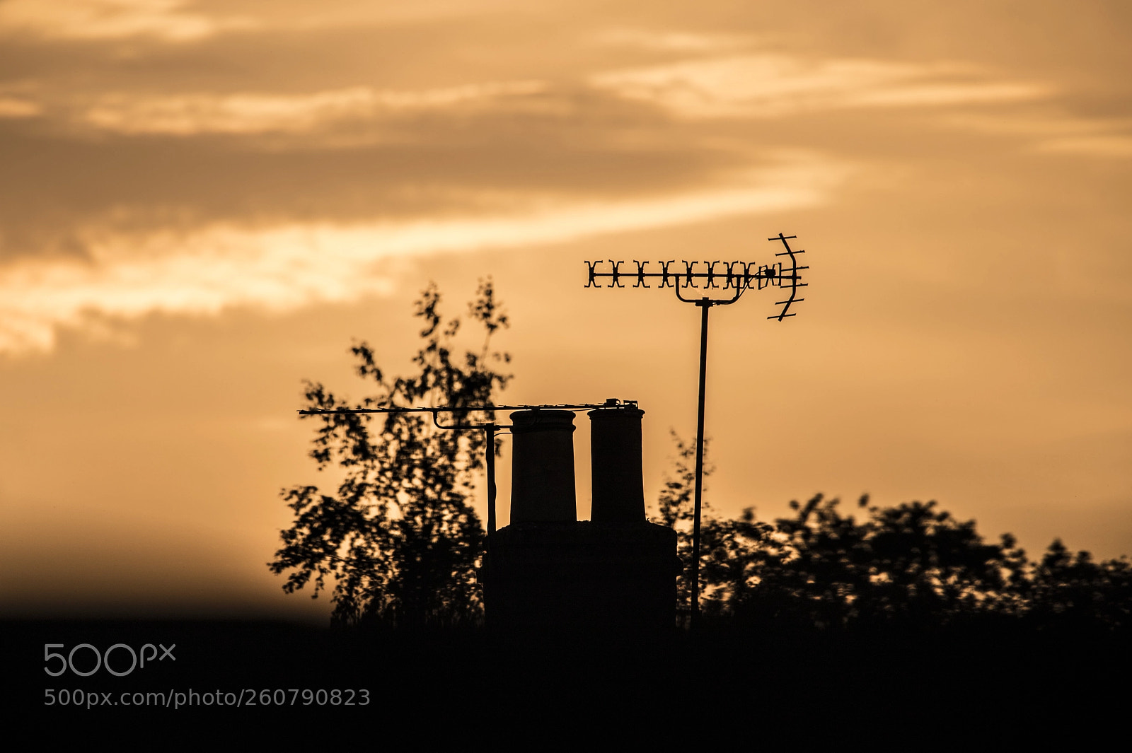Canon EOS 6D Mark II sample photo. Ely, cambridgeshire photography