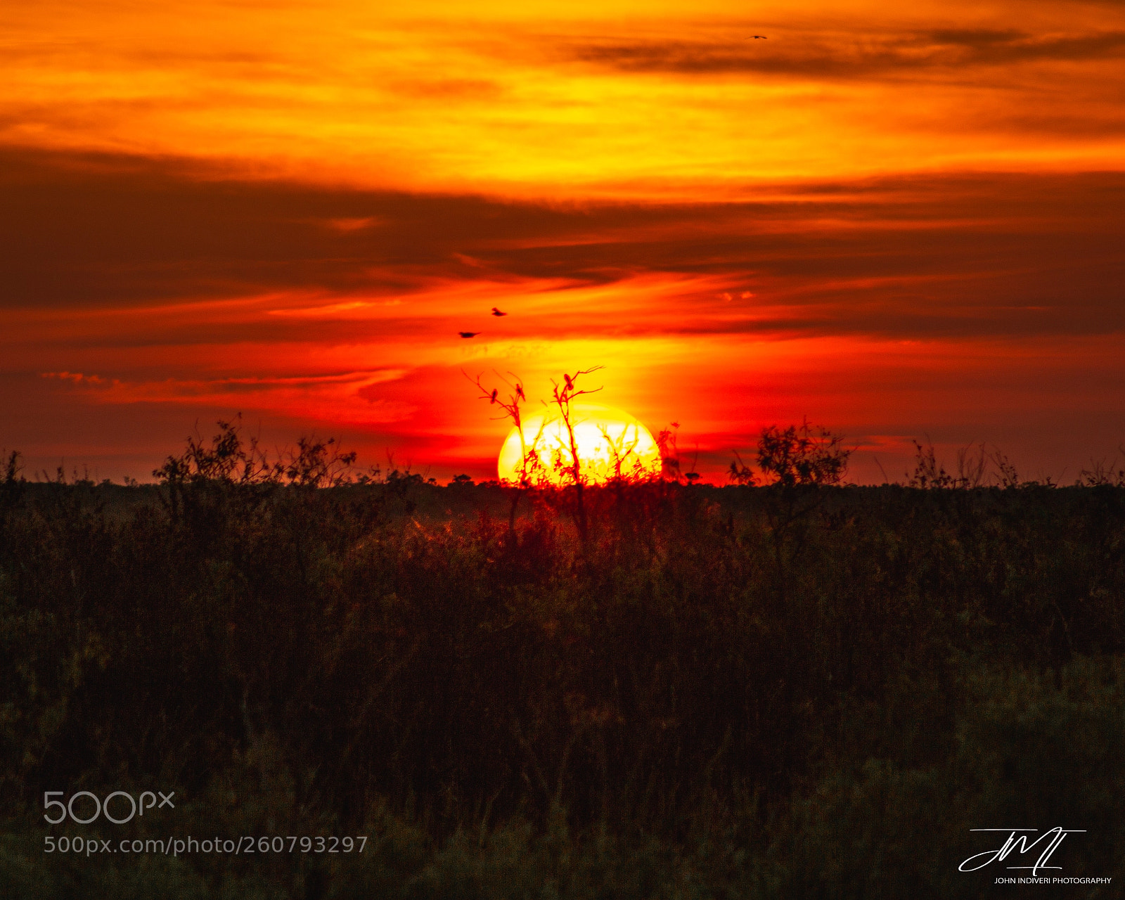 Canon EOS 600D (Rebel EOS T3i / EOS Kiss X5) sample photo. Sunset at the preserve photography