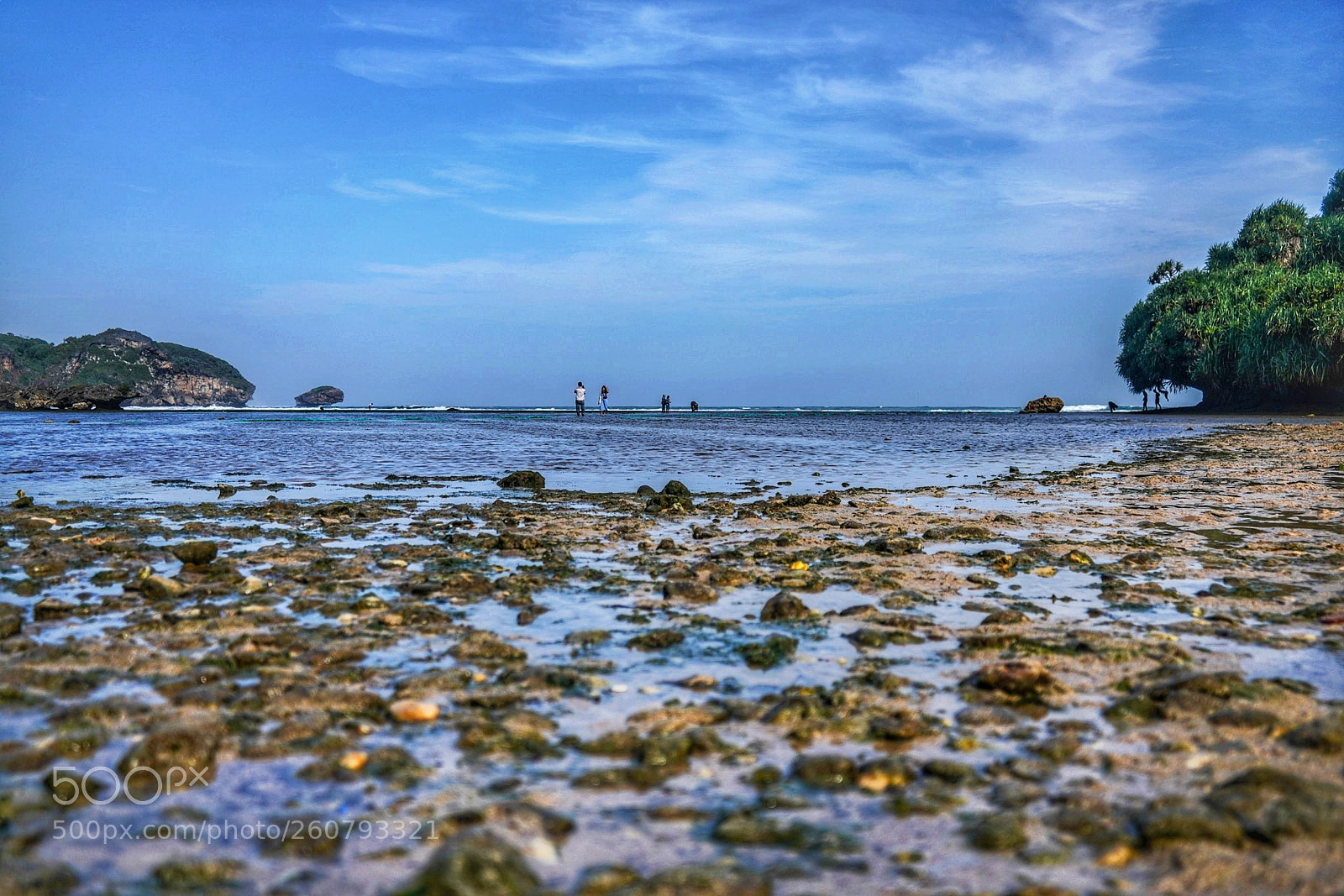 Sony a7R III sample photo. Untitled photography