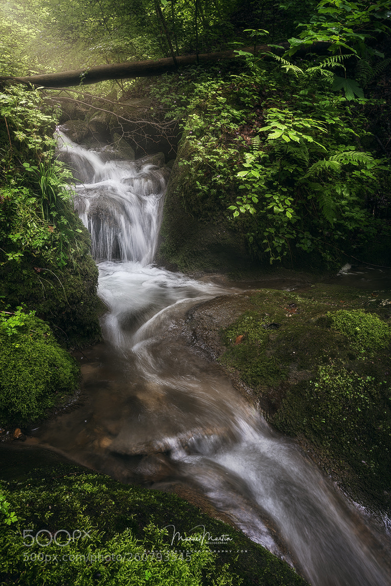 Nikon D810 sample photo. Maitagarrien urjauzia photography