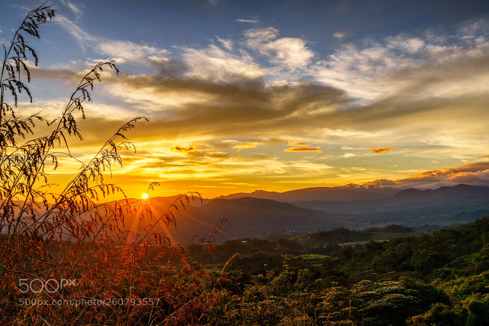 Sony a7 II sample photo. The sun rises in photography