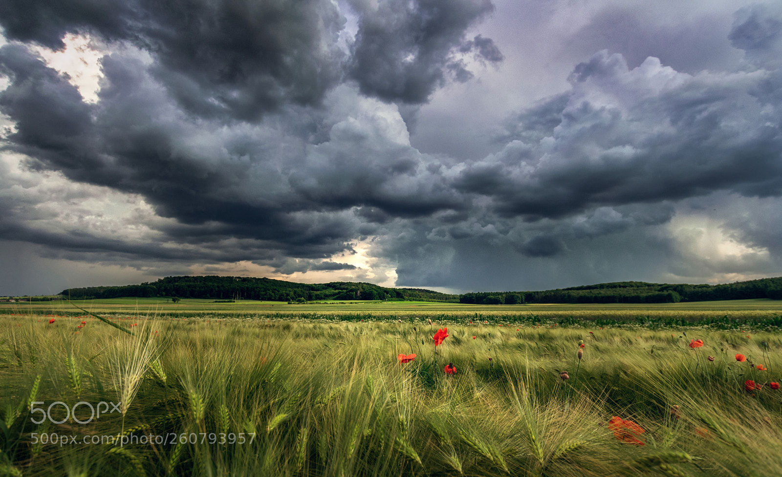 Nikon D5300 sample photo. Stormy clouds photography