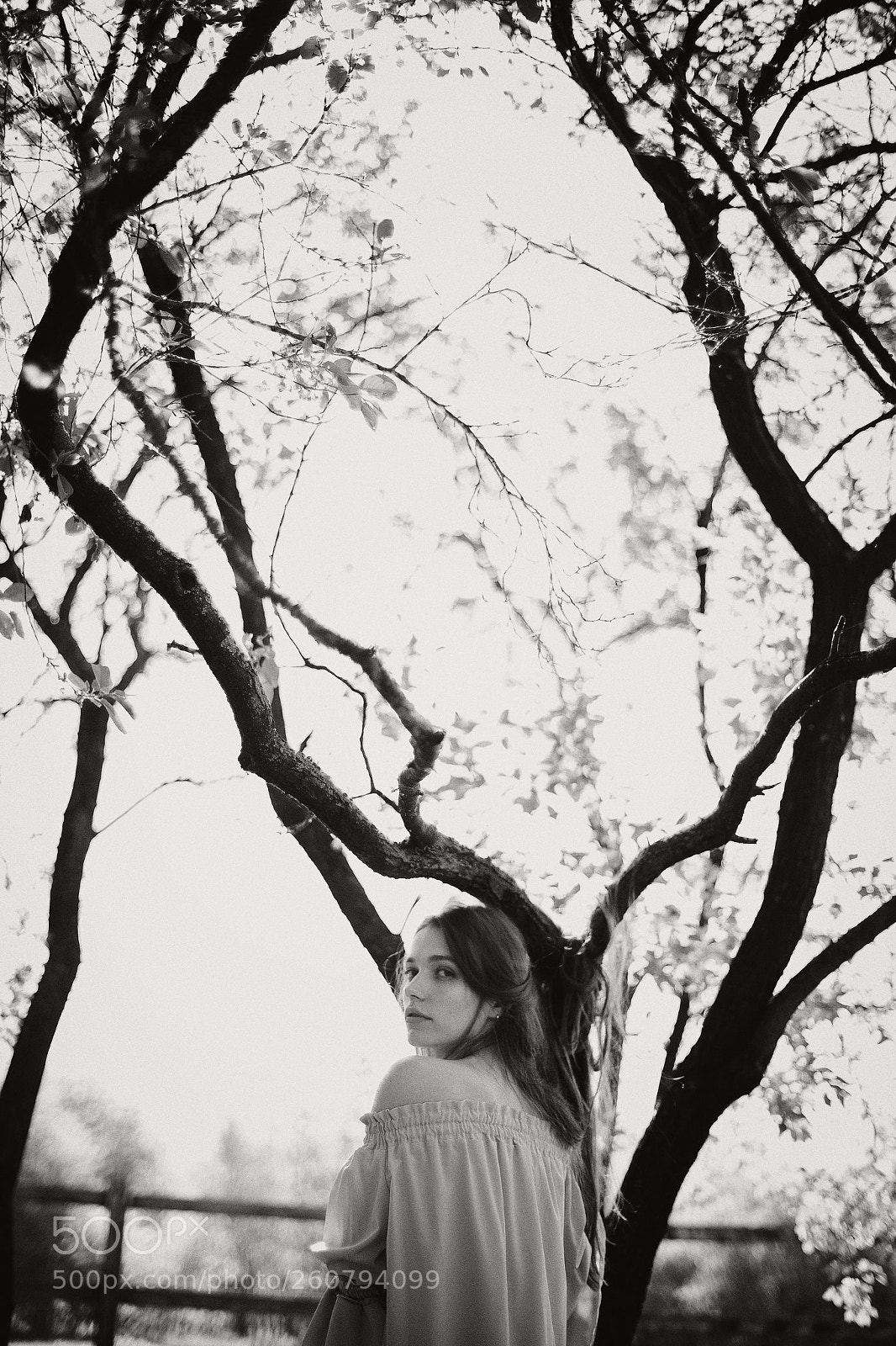 Canon EOS 6D sample photo. Untitled photography