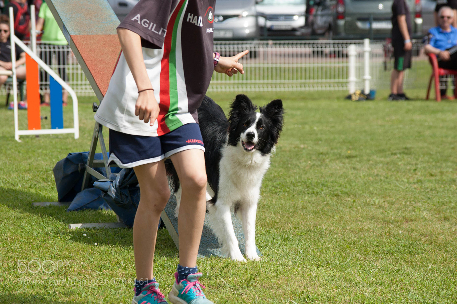 Nikon D40 sample photo. Agility dogs photography