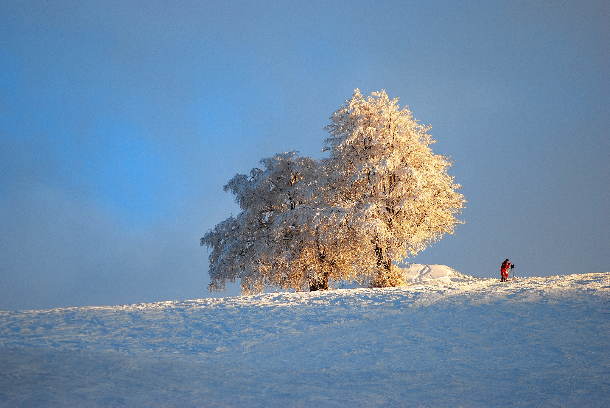 Nikon D80 + AF Zoom-Nikkor 80-200mm f/2.8 ED sample photo. Winter photography