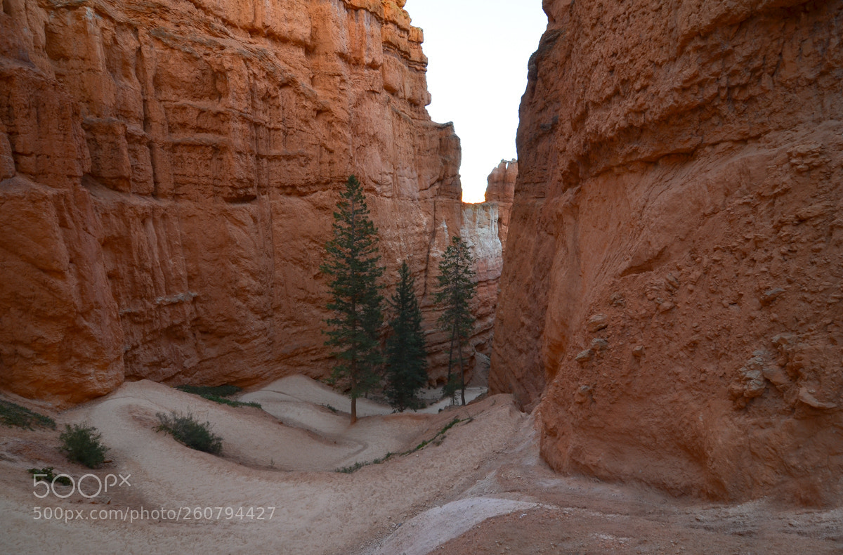 Nikon D7000 sample photo. Queen's garden loop trail photography
