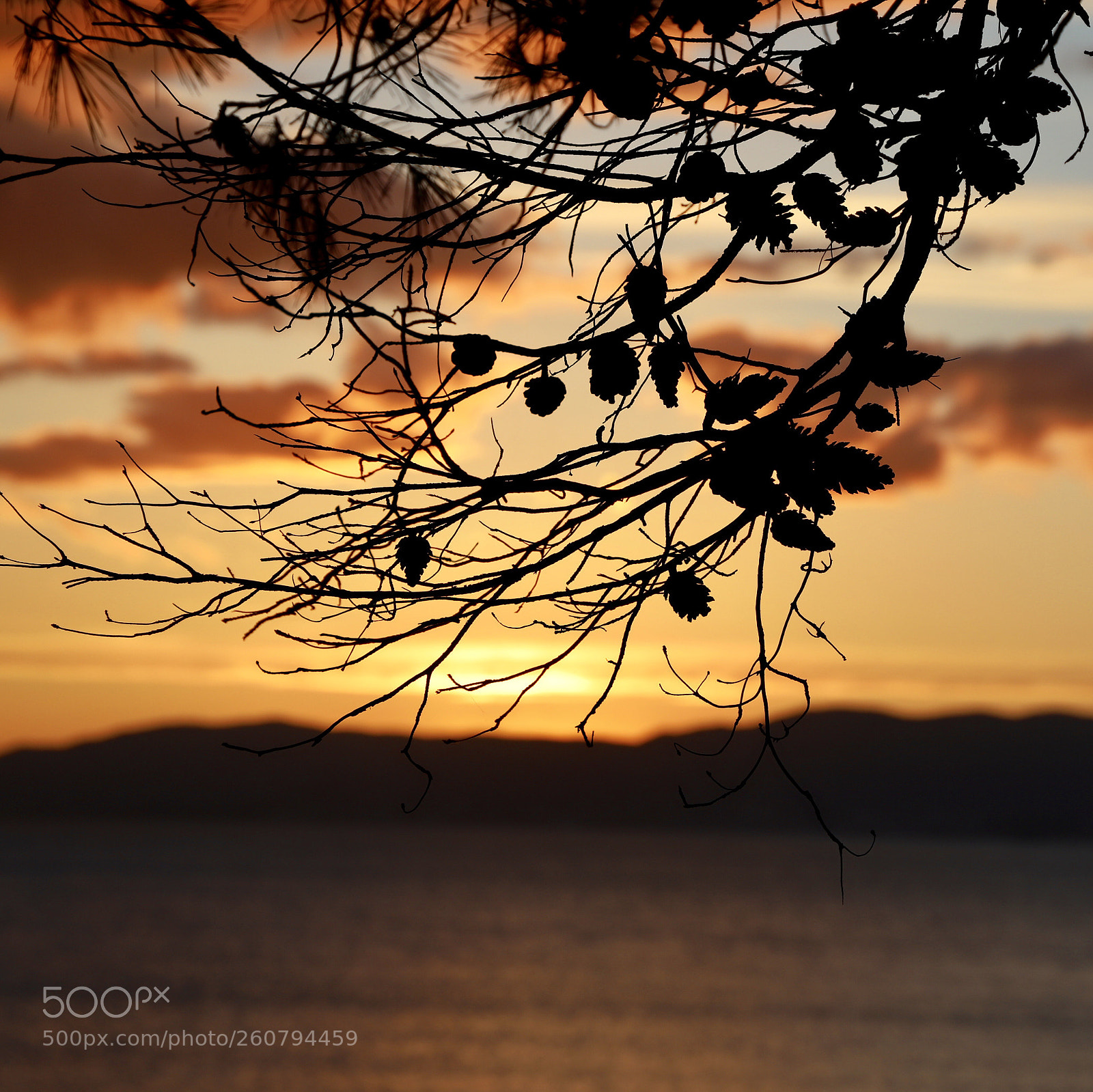 Canon EOS 6D Mark II sample photo. Untitled photography