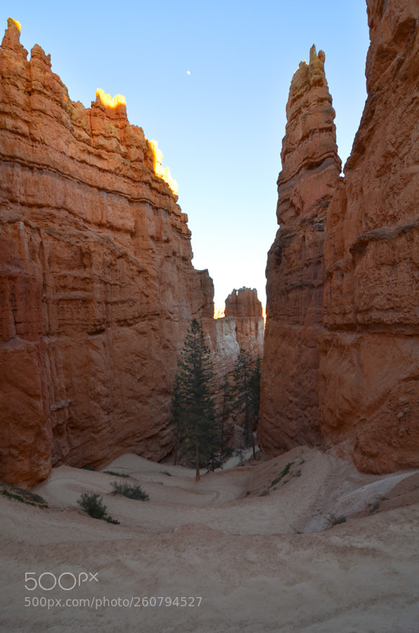 Nikon D7000 sample photo. Queen's garden loop trail photography