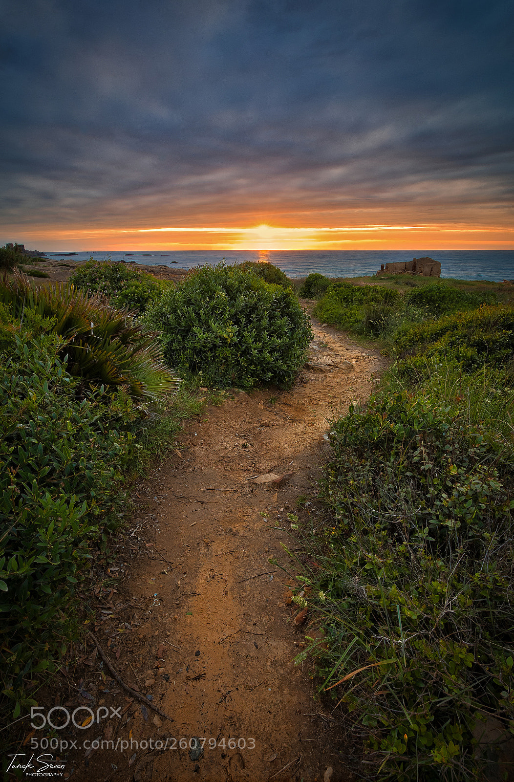 Canon EOS 6D sample photo. A path towards light photography
