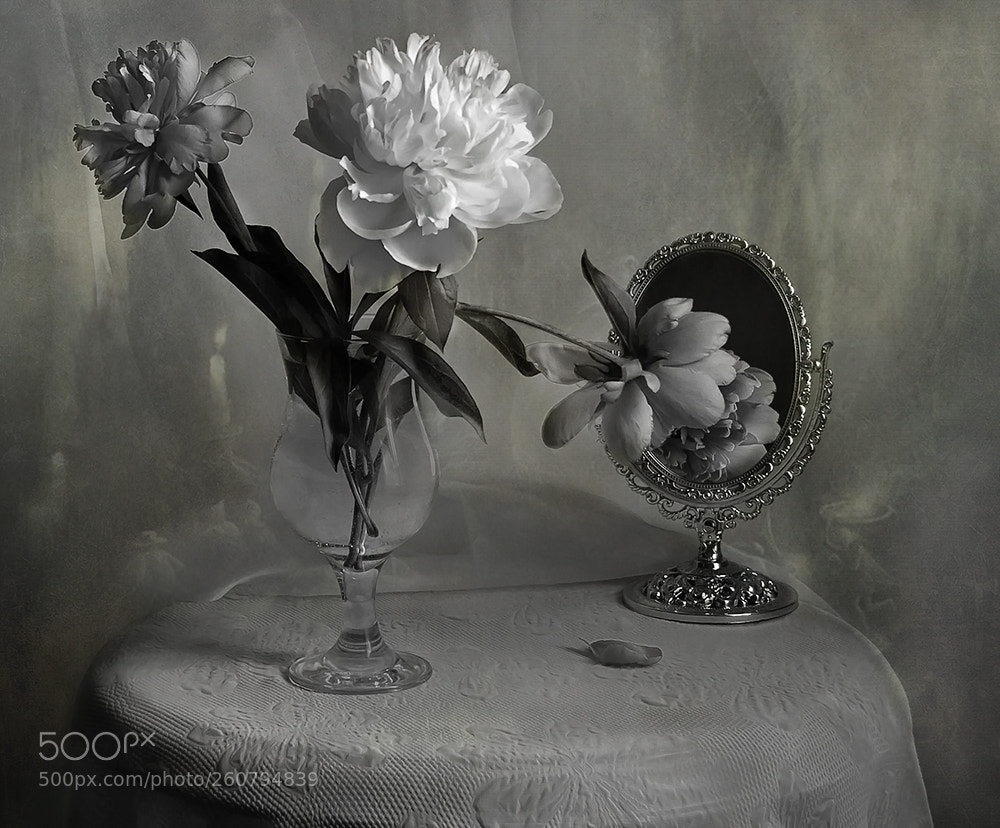 Nikon D7000 sample photo. Elusive beauty... Ускользающая красота.... photography