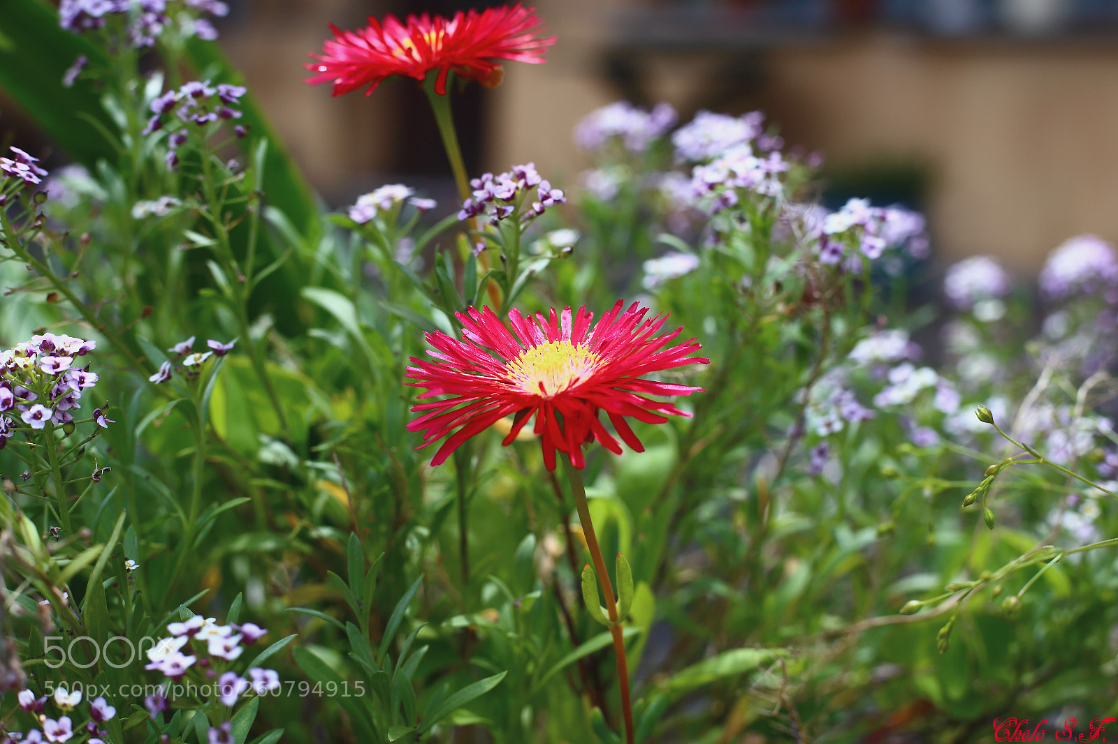 Canon EOS 6D sample photo. Untitled photography