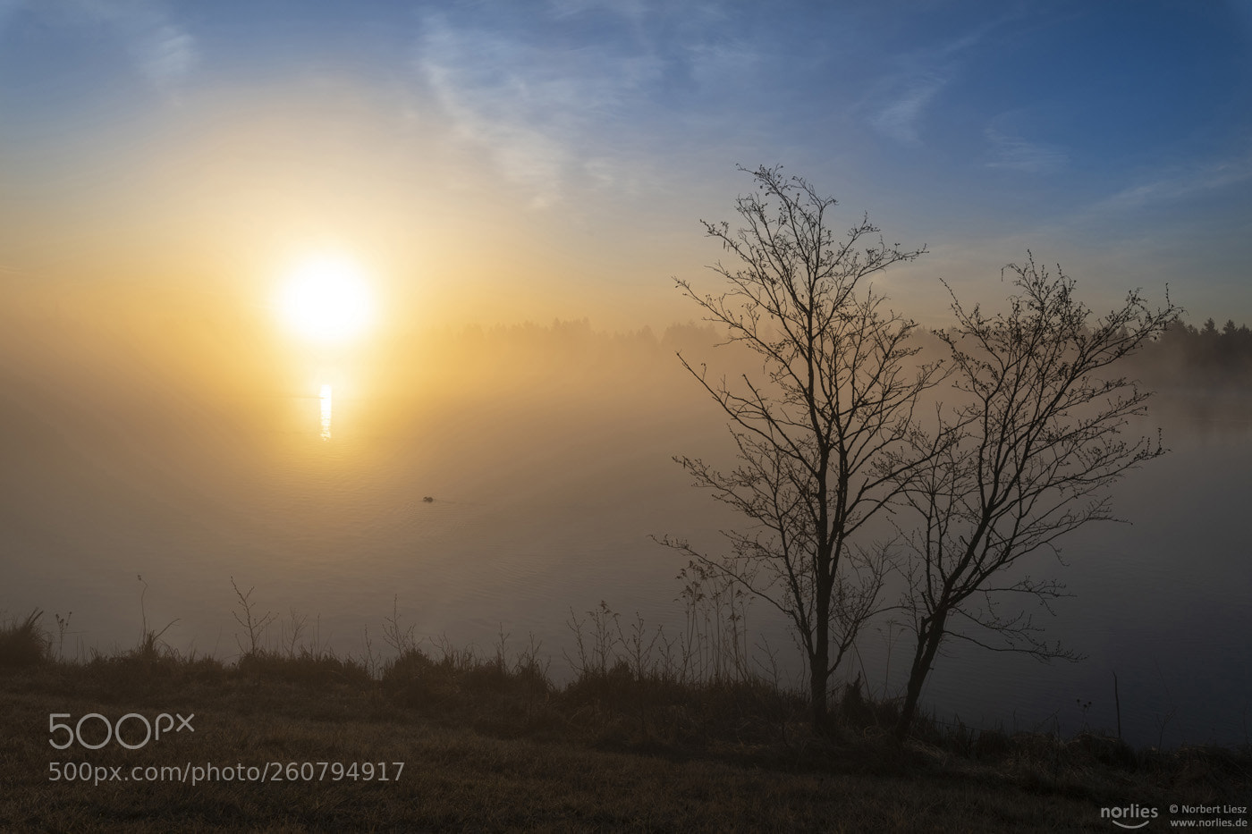 Nikon D850 sample photo. Morning sun photography