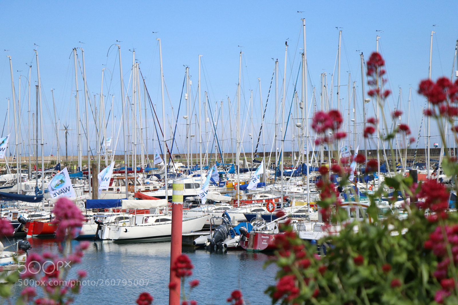 Canon EOS 80D sample photo. Howth's harbor photography