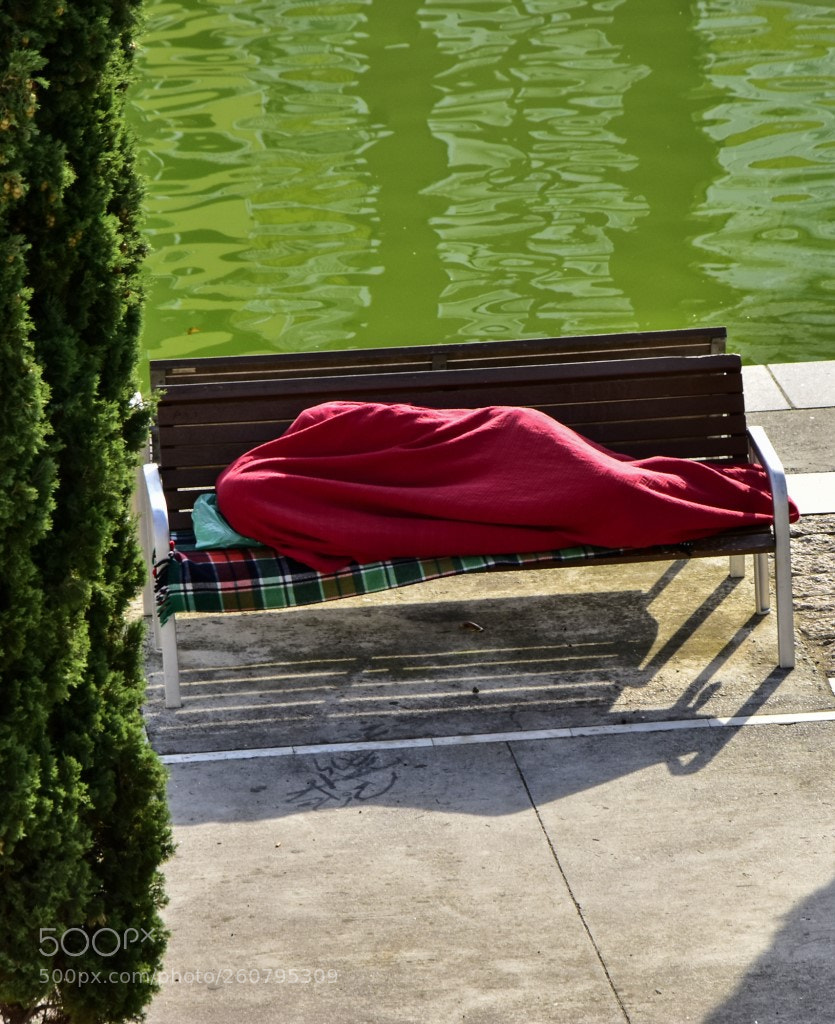 Nikon D7200 sample photo. Siesta photography