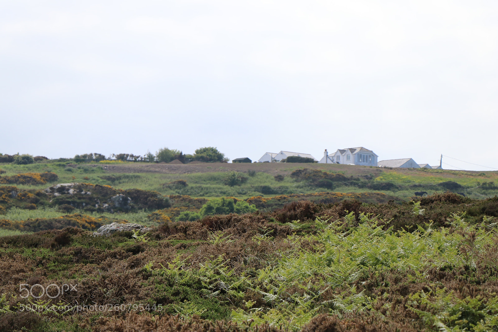 Canon EOS 80D sample photo. Isolated houses photography