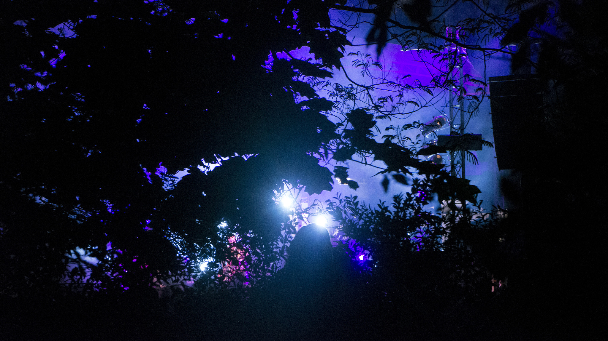 Sony Alpha NEX-5N sample photo. Serralves em festa photography