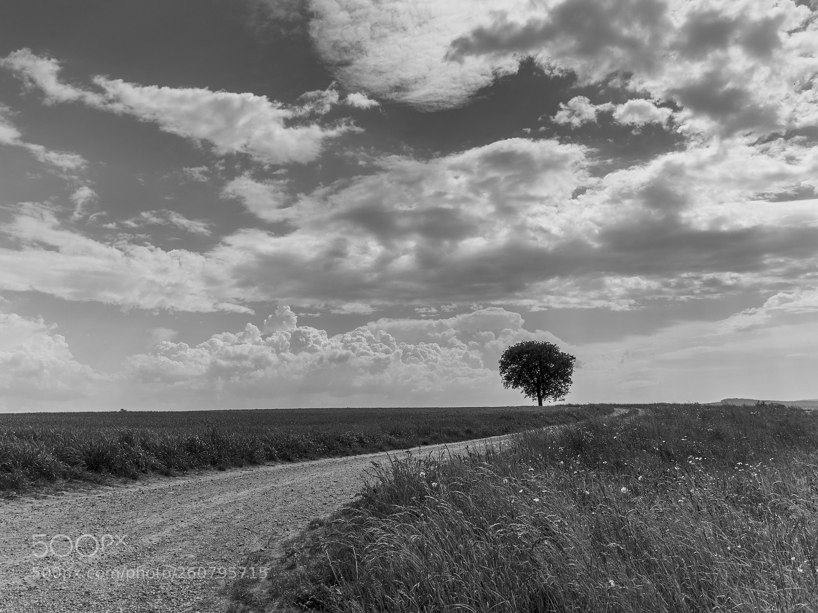 Panasonic Lumix DMC-GX8 sample photo. Cloudy sky photography
