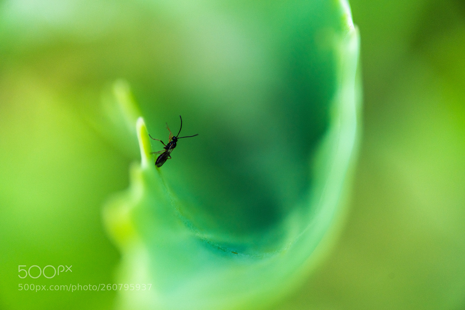 Pentax K-1 sample photo. The shelter photography