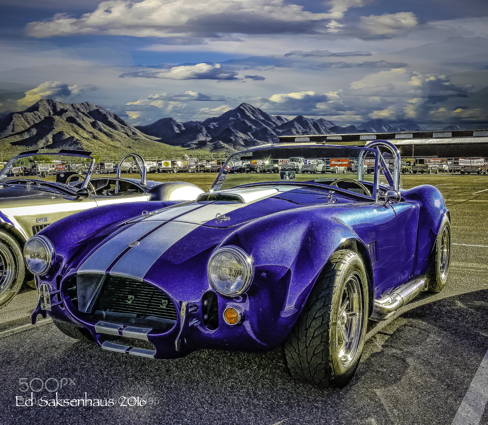 Panasonic Lumix DMC-FZ1000 sample photo. Blue cobra photography