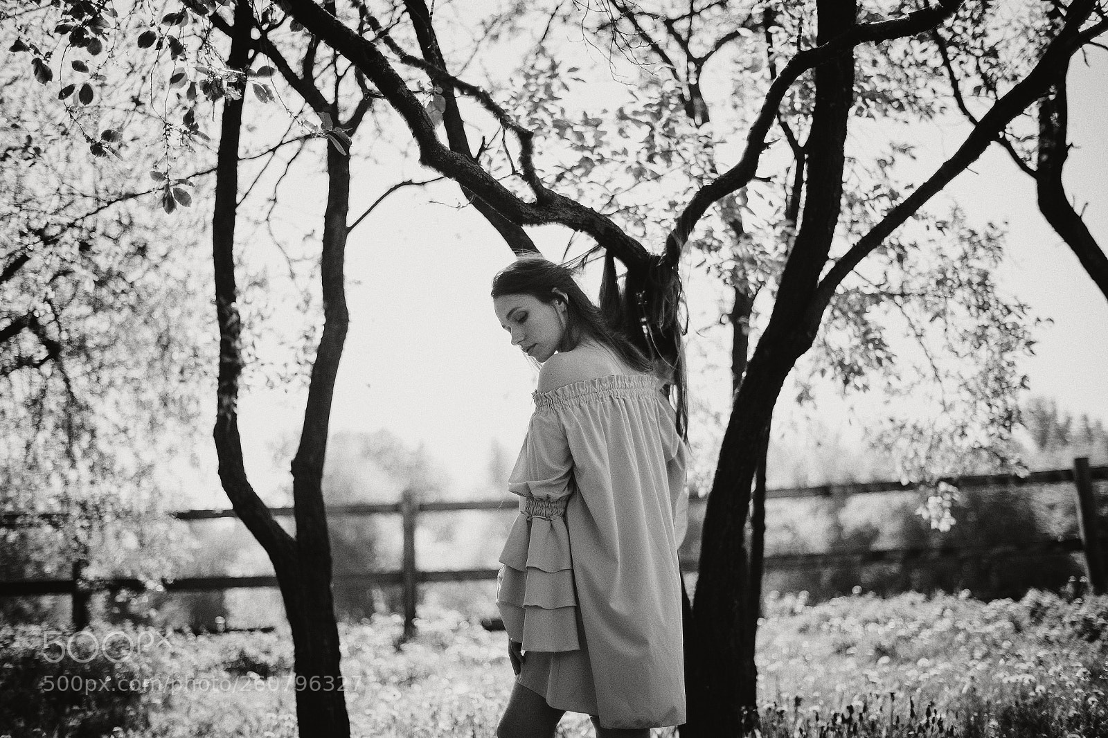 Canon EOS 6D sample photo. Untitled photography