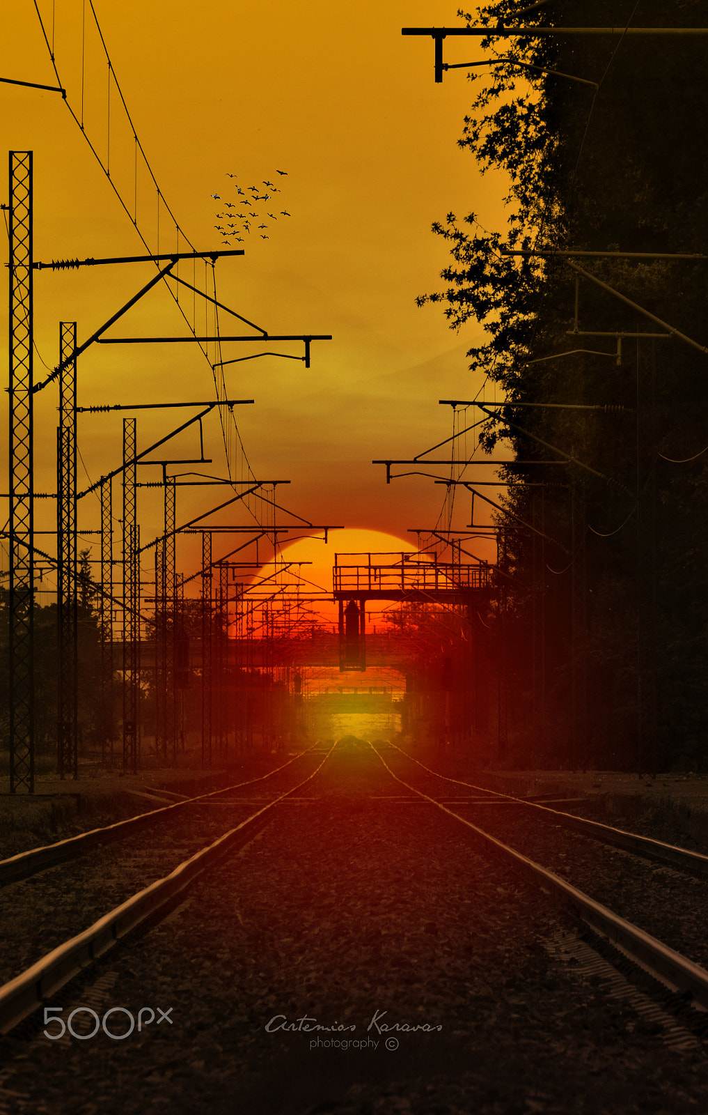 Nikon D5300 sample photo. Rail lines in the sun light photography
