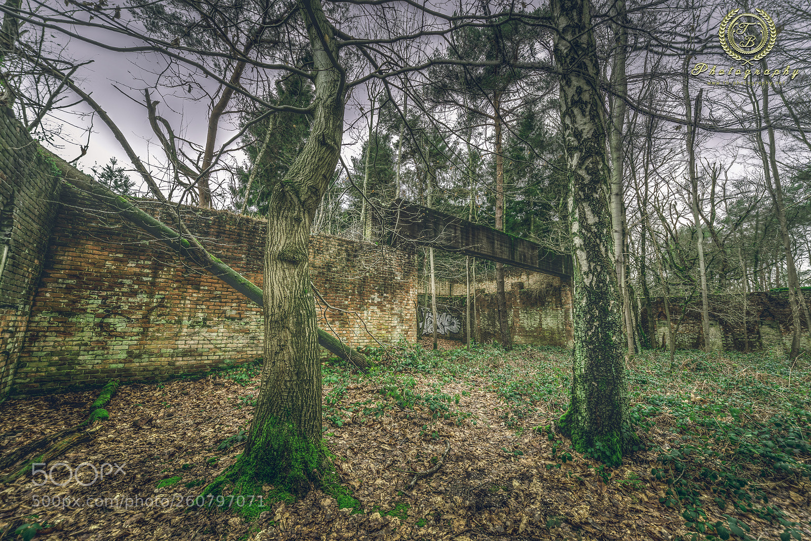 Nikon D800 sample photo. Altes militärgebiet photography