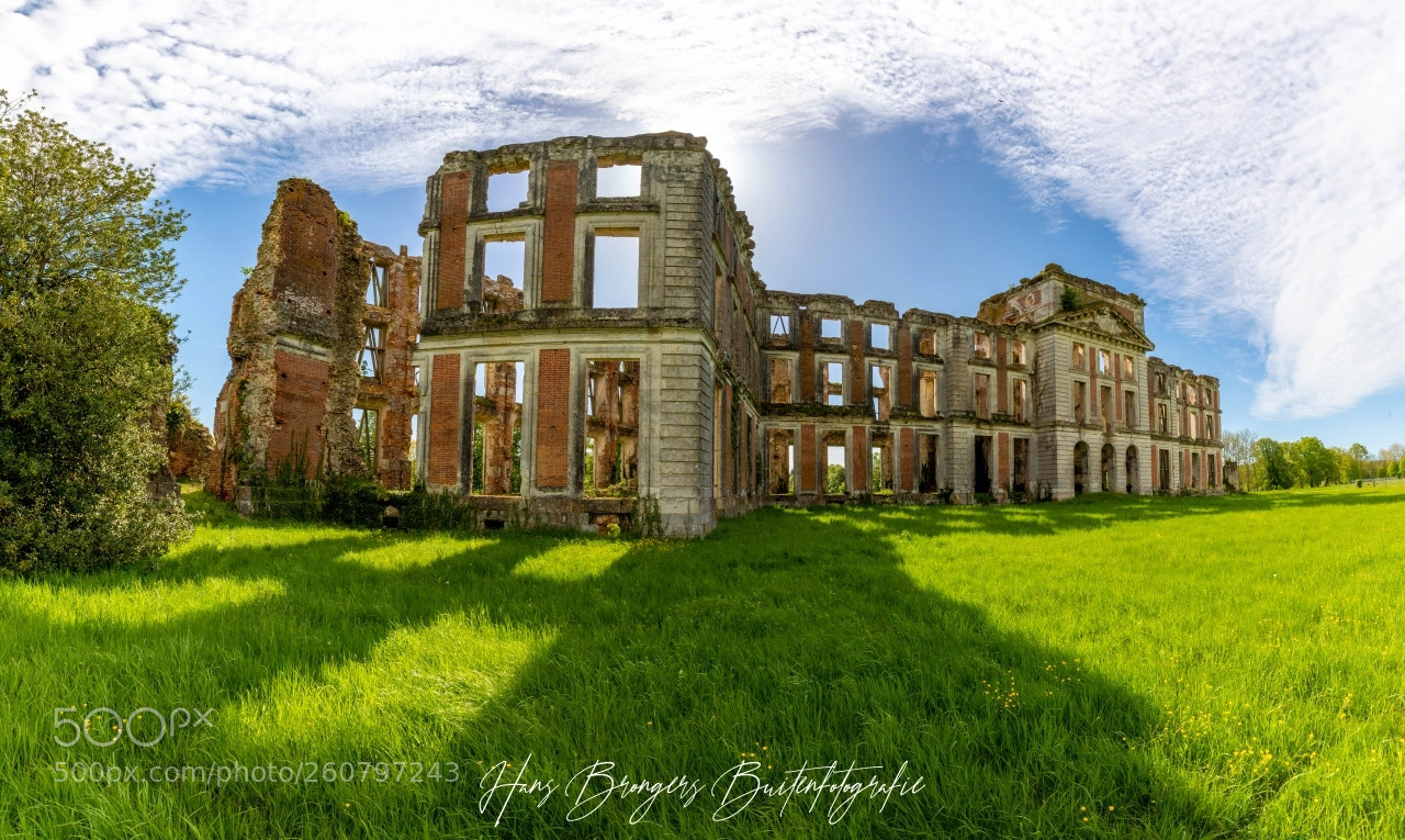 Canon EOS 5D Mark IV sample photo. La ferté vidane photography