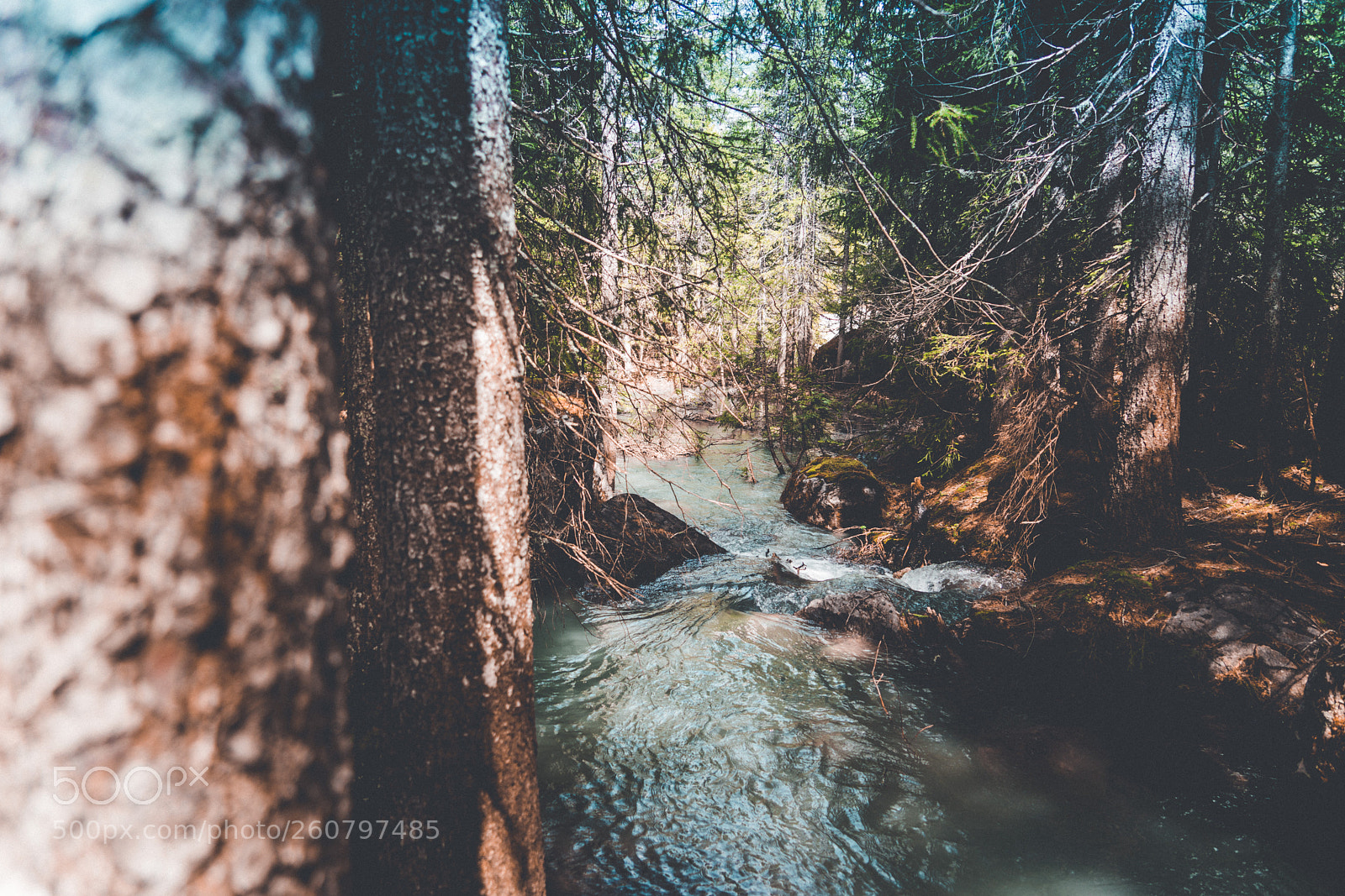 Sony a7R II sample photo. La lizerne photography