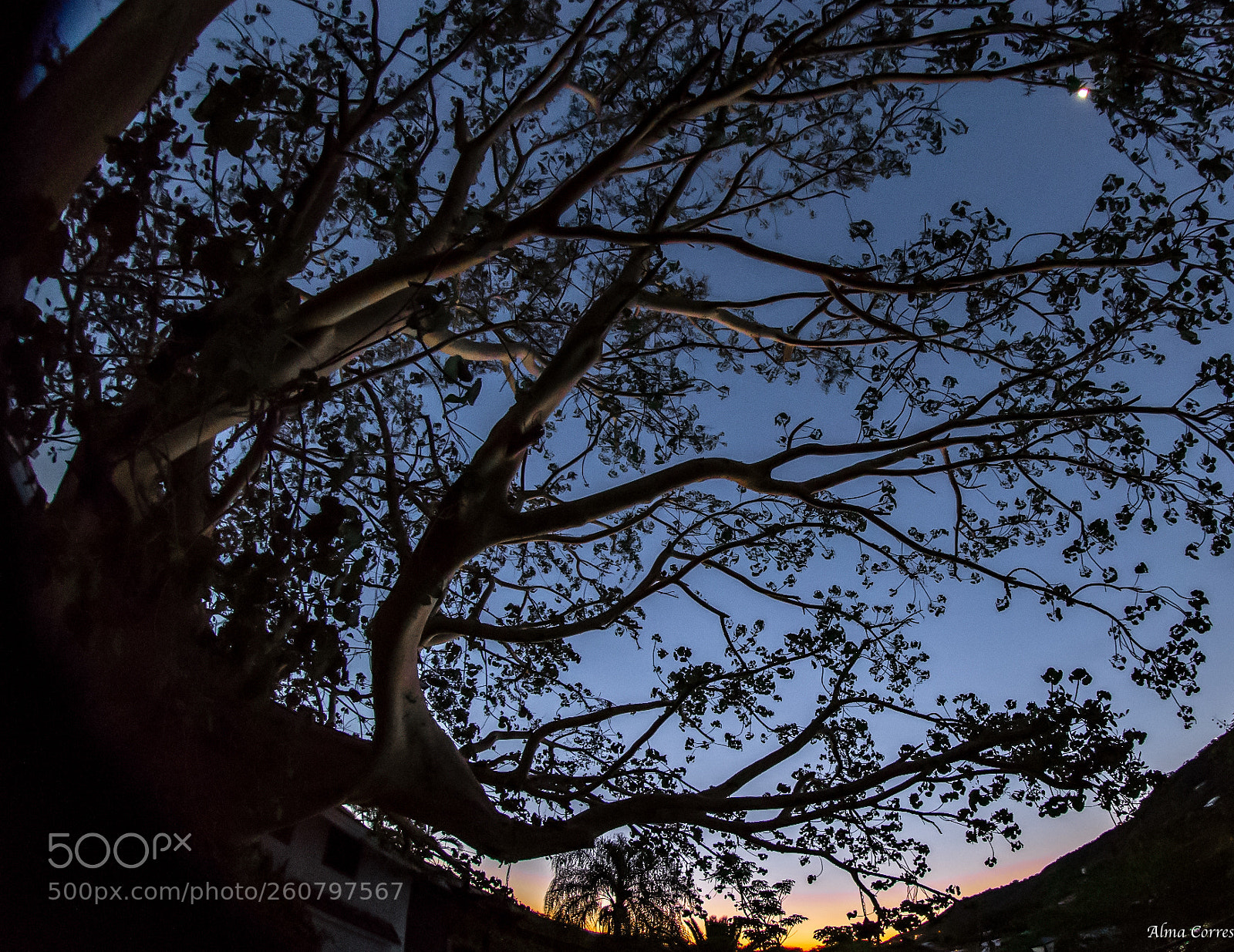 Canon EOS 6D sample photo. ___good morning monday___ photography