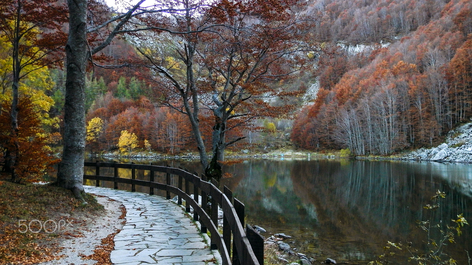 Olympus SP-620UZ sample photo. Let's take a walk photography