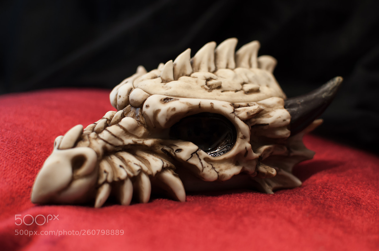 Nikon D90 sample photo. Dragon skull photography