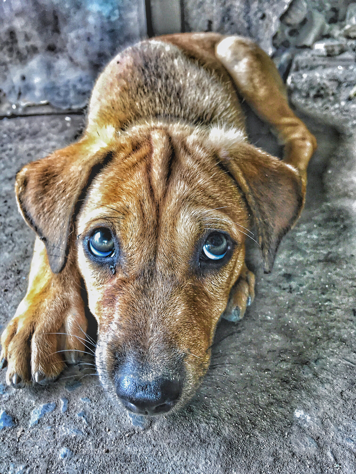 Apple iPhone SE sample photo. Untitled photography