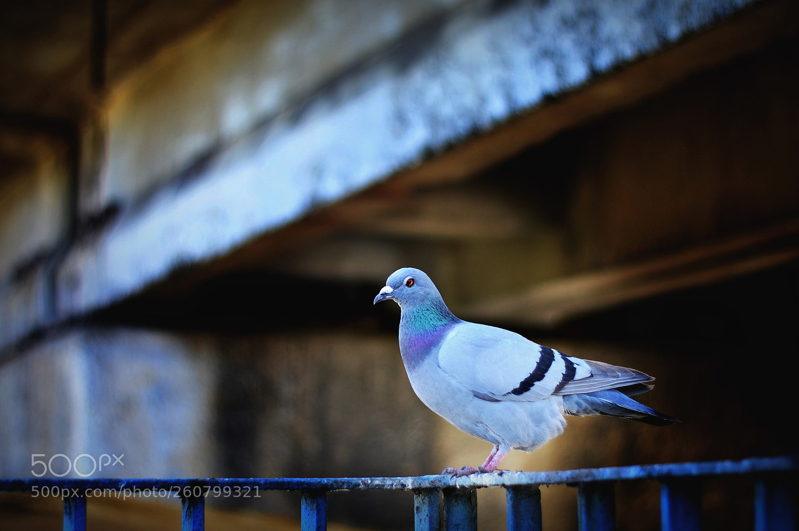 Nikon D3200 sample photo. Photo photography