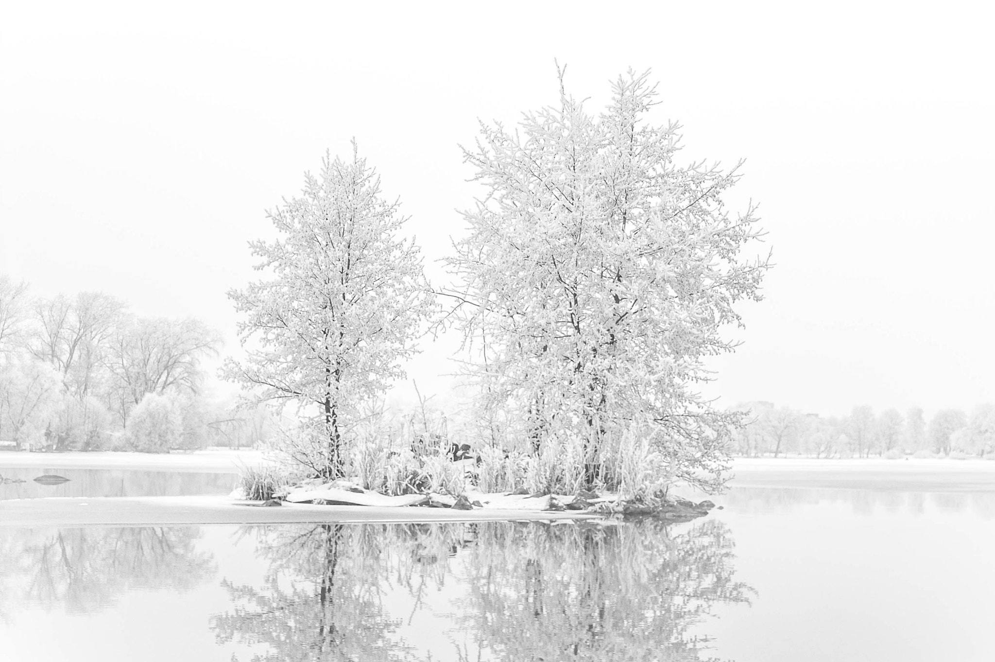 KONICA MINOLTA DYNAX 7D sample photo. Winter photography