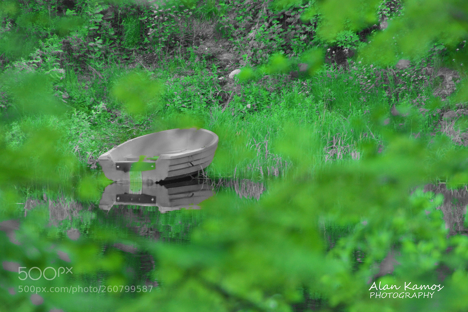 Nikon D5200 sample photo. Untitled photography