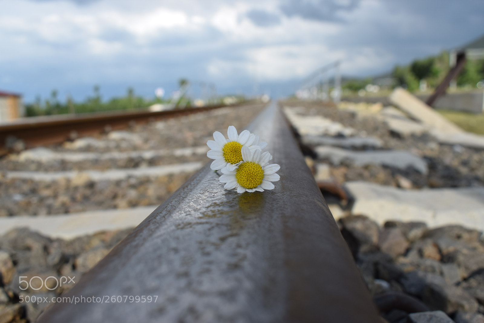 Nikon D3300 sample photo. Untitled photography