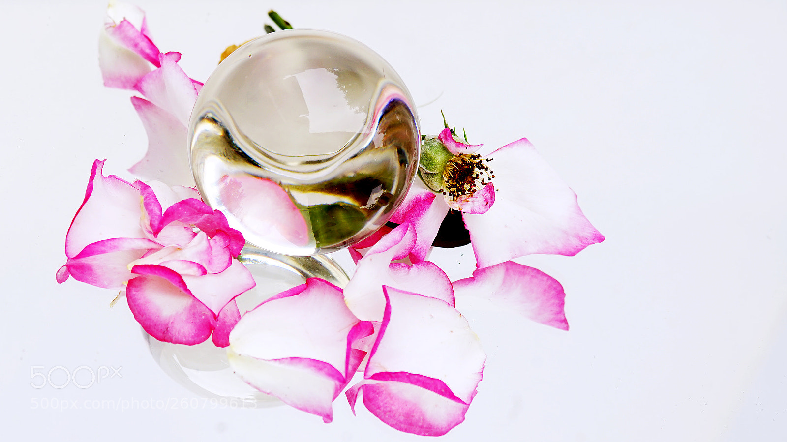 Sony a7 II sample photo. Pinky photography