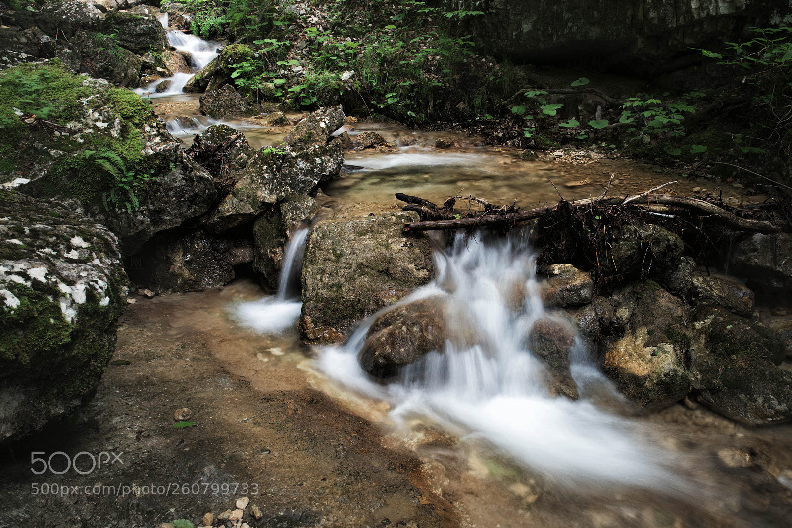 Sony a7 II sample photo. Dsc photography