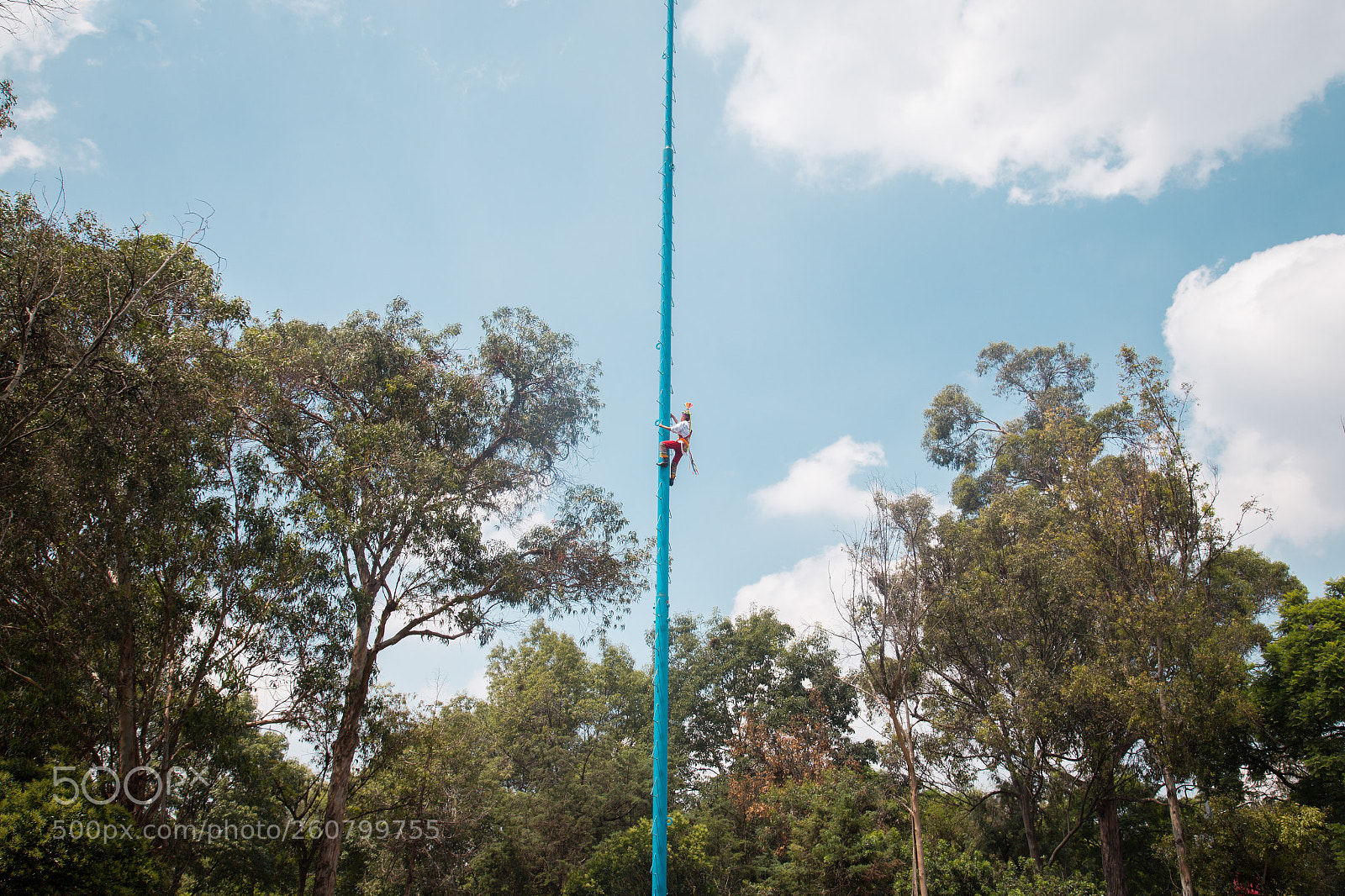 Canon EOS 6D sample photo. Voladores photography