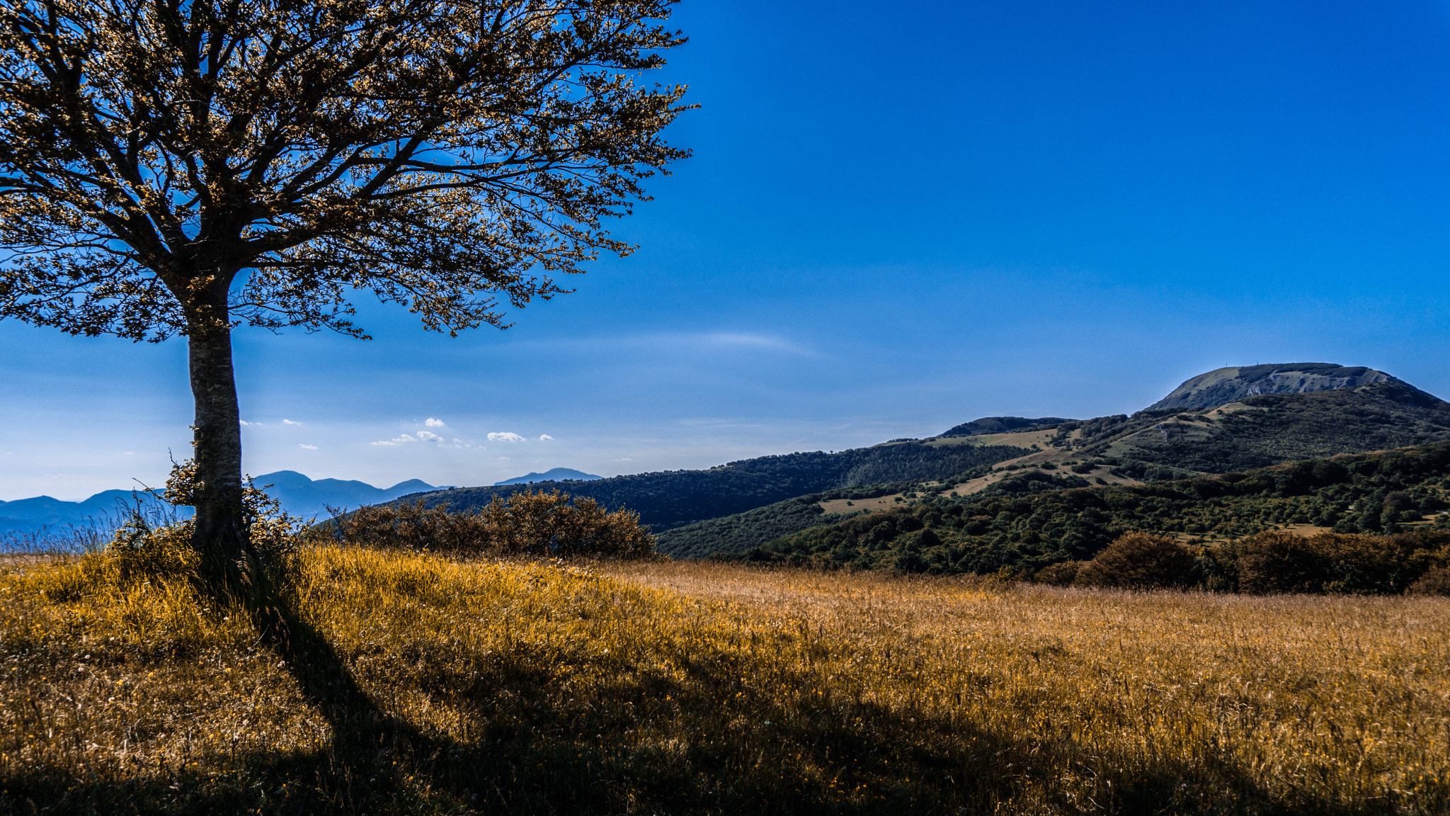 Sony a5100 sample photo
