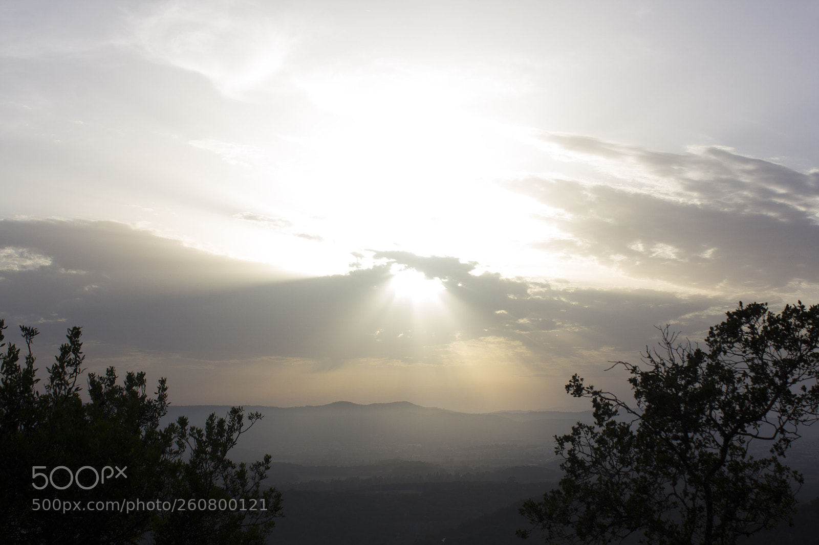 Canon EOS 60D sample photo. Sun rays photography