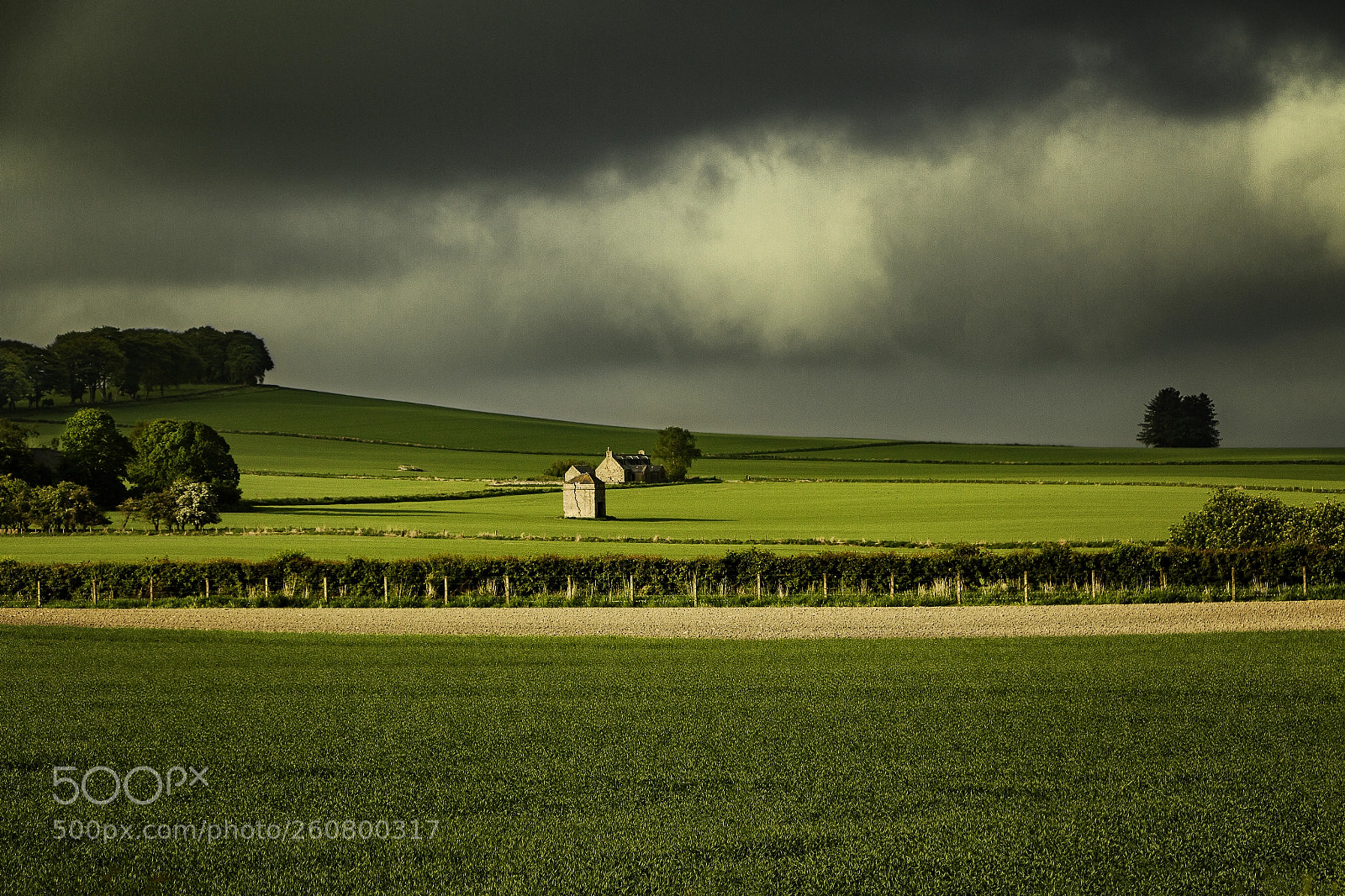 Canon EOS 70D sample photo. Aberdeenshire photography