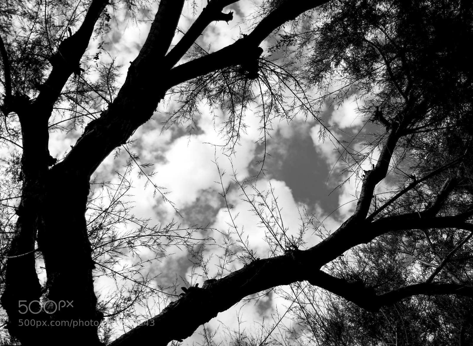 Nikon D600 sample photo. My sky photography