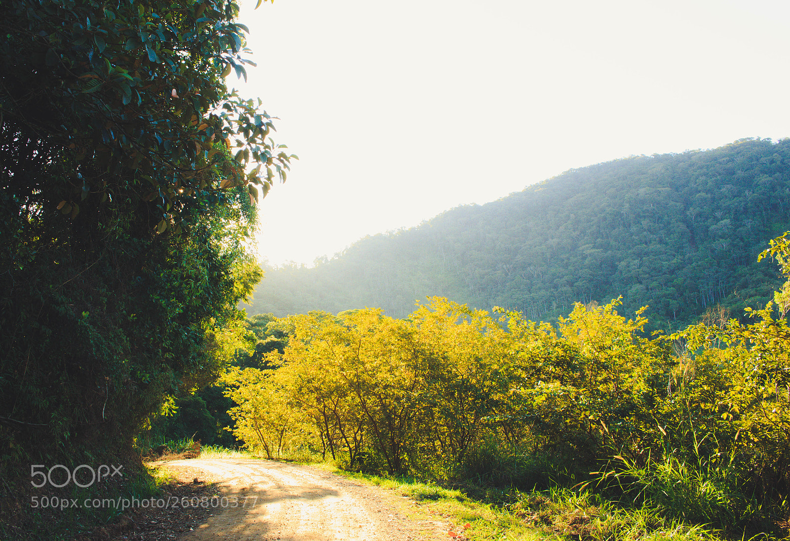 Canon EOS 700D (EOS Rebel T5i / EOS Kiss X7i) sample photo. Valley photography