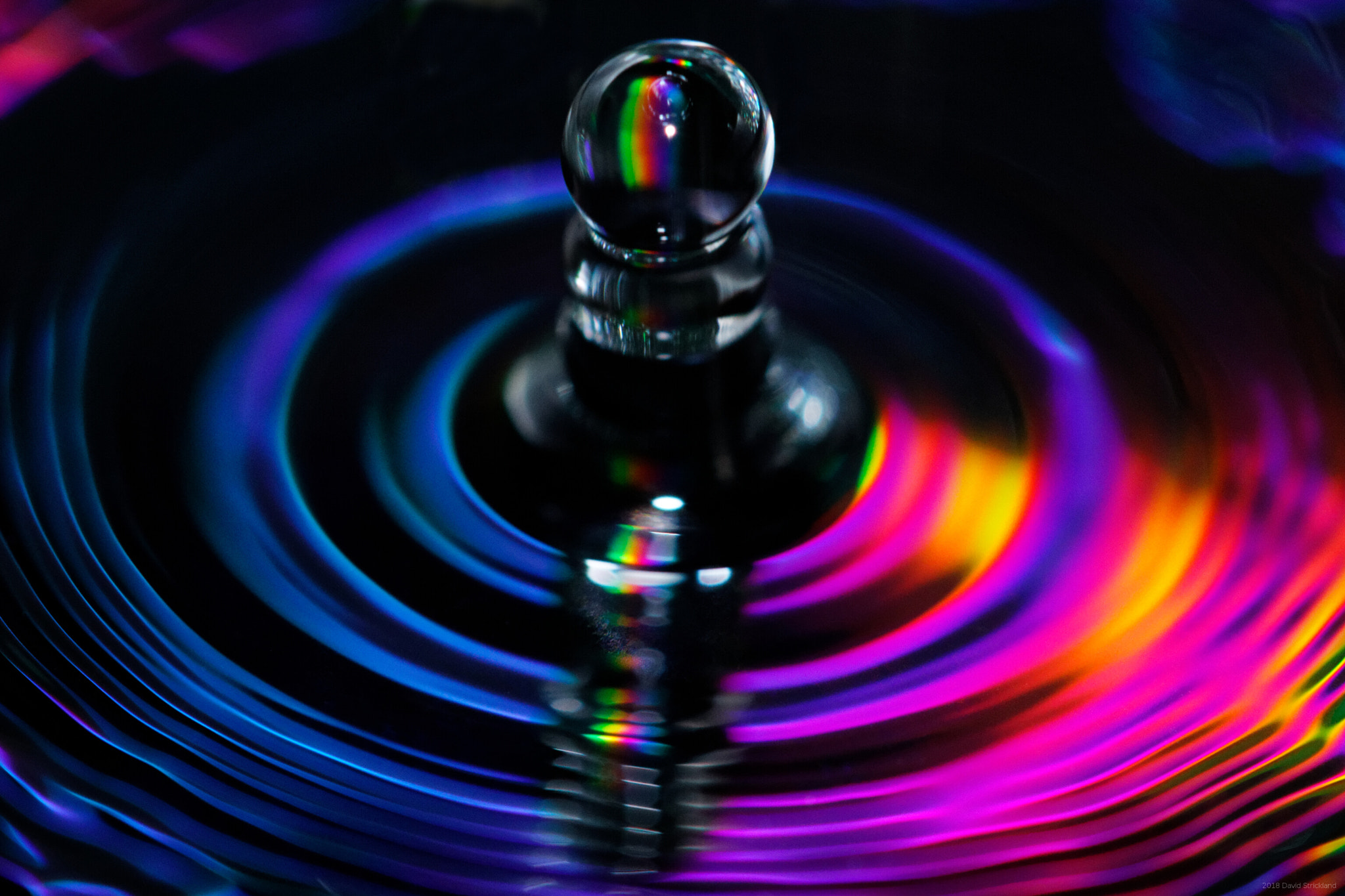 Canon EF 100mm F2.8L Macro IS USM sample photo. Colorful black water photography