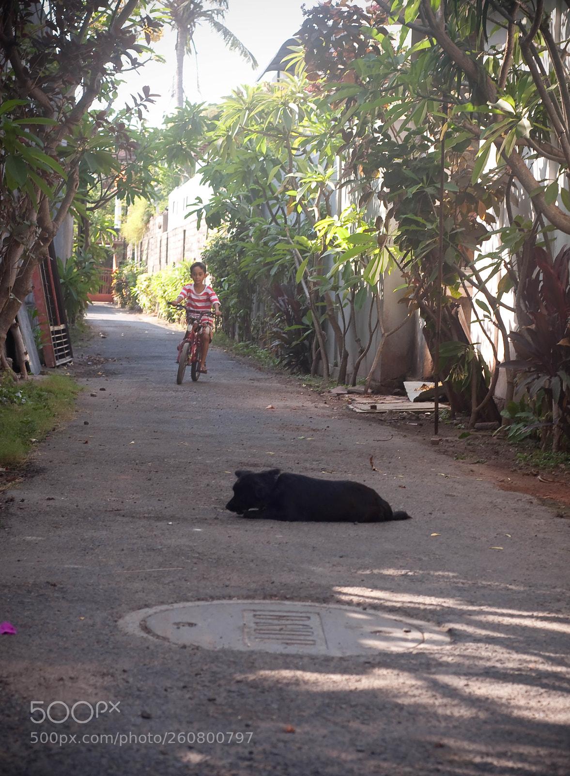 Nikon D90 sample photo. Bali 2015 photography