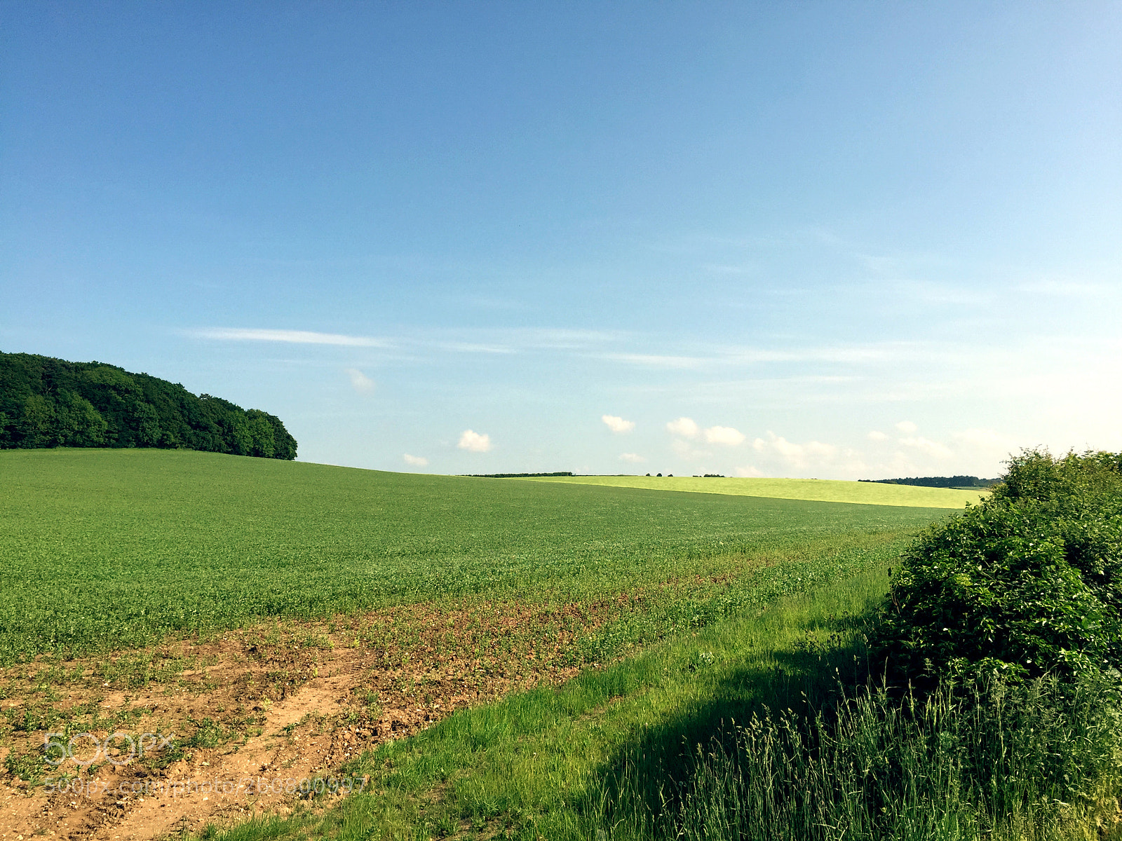 Apple iPhone 6 sample photo. Stanloe fields near burnham photography