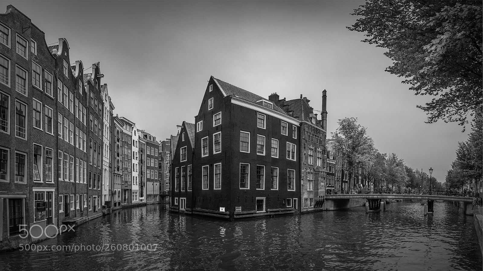 Sony a7 III sample photo. Greytones of amsterdam photography